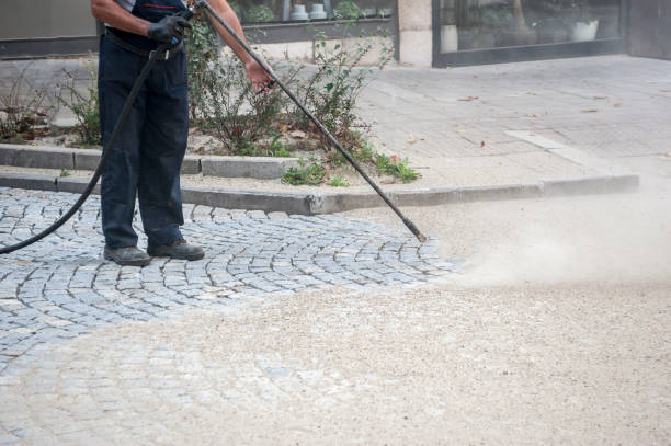 Best Winterizing Services  in East Franklin, NJ
